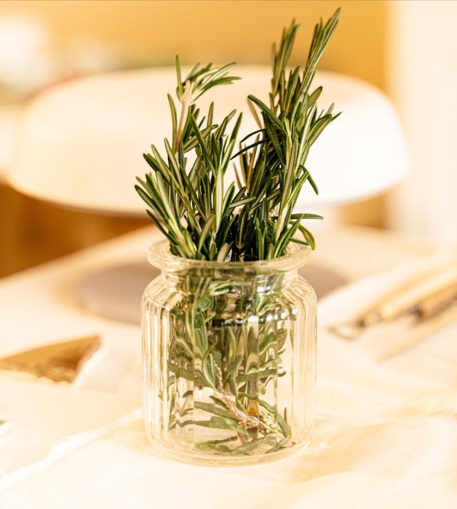 Les nombreuses vertus du&nbsp;Romarin