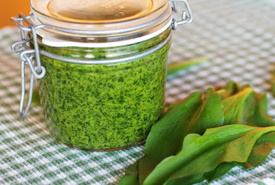 Recettes simples de sauces aux herbes&nbsp;fraîches